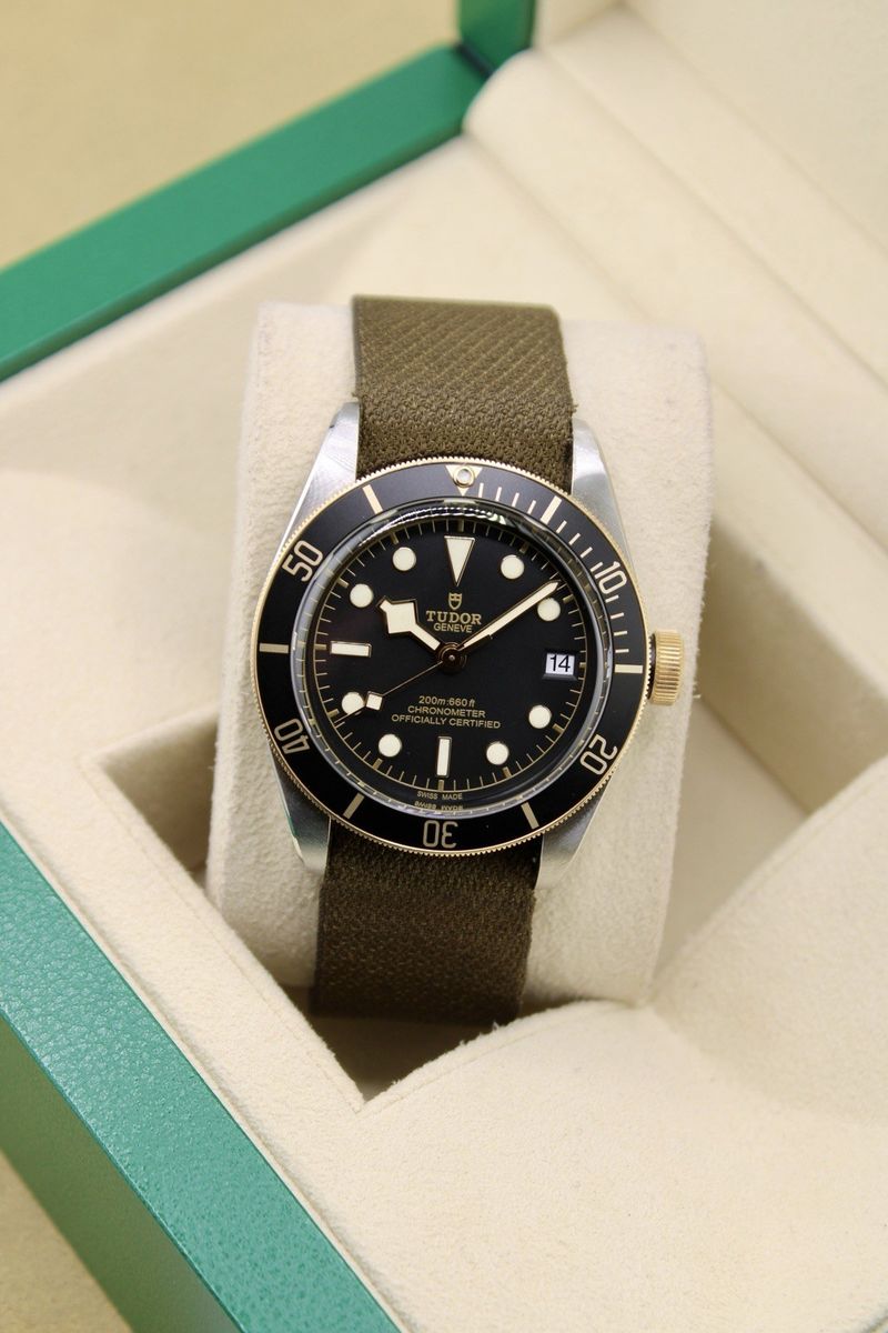 Tudor Black Bay 41 S&G 79733N